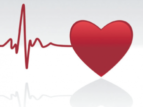 Vortrag - Gesunde Gefäße – gesundes HERZ: Den Herzinfarkt vermeiden 